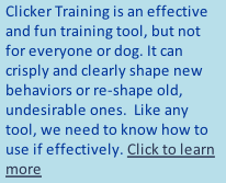 Clicker Training is an effective and fun training tool, but not for everyone or dog. It can crisply and clearly shape new behaviors or re-shape old, undesirable ones.  Like any tool, we need to know how to use if effectively. Click to learn more